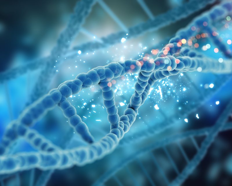 Mengenal Genomika (Pexels @Genomika)